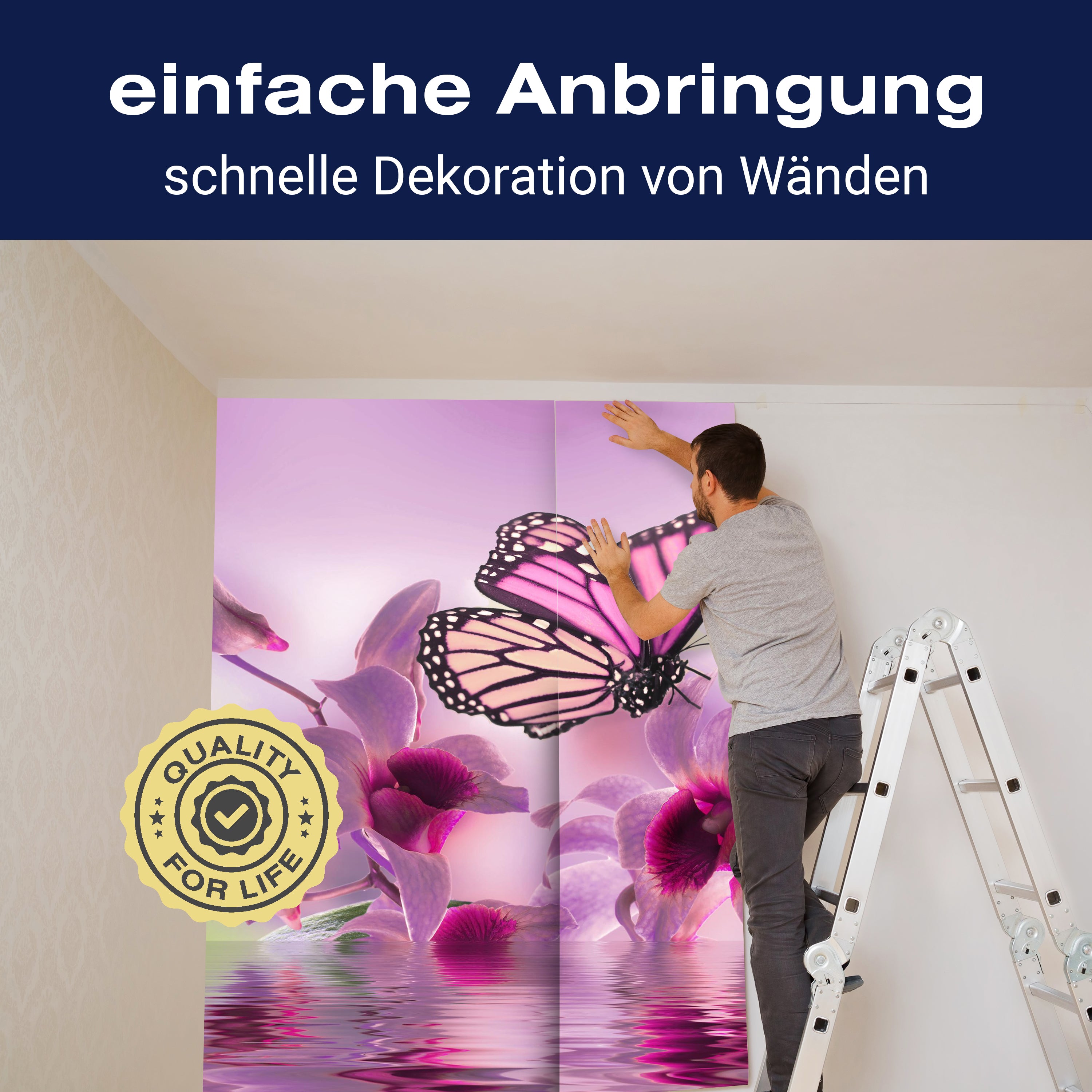 Fototapete Violett Schmetterling M1853 - Bild 3 Fototapete Violett Schmetterling M1853 - Bild 3