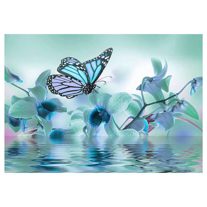 Fototapete Türkis Orchidee M3741 - Bild 2 Fototapete Türkis Orchidee M3741 - Bild 2