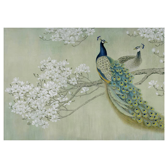 Fototapete Pfau Weis Blüten Zweig Betonwand M4688 - Bild 2 Fototapete Pfau Weis Blüten Zweig Betonwand M4688 - Bild 2