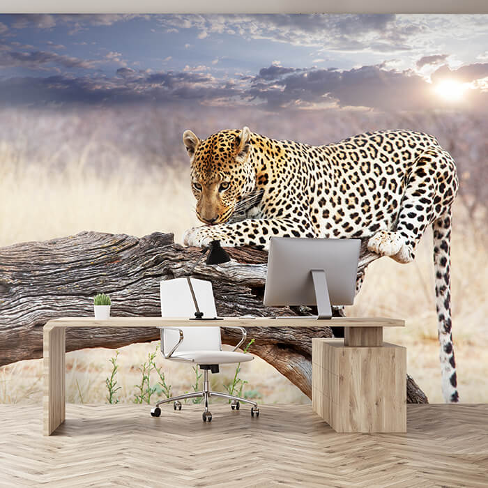 Fototapete Leopard Ast Savanne Himmel M4814 - Bild 1 Fototapete Leopard Ast Savanne Himmel M4814 - Bild 1