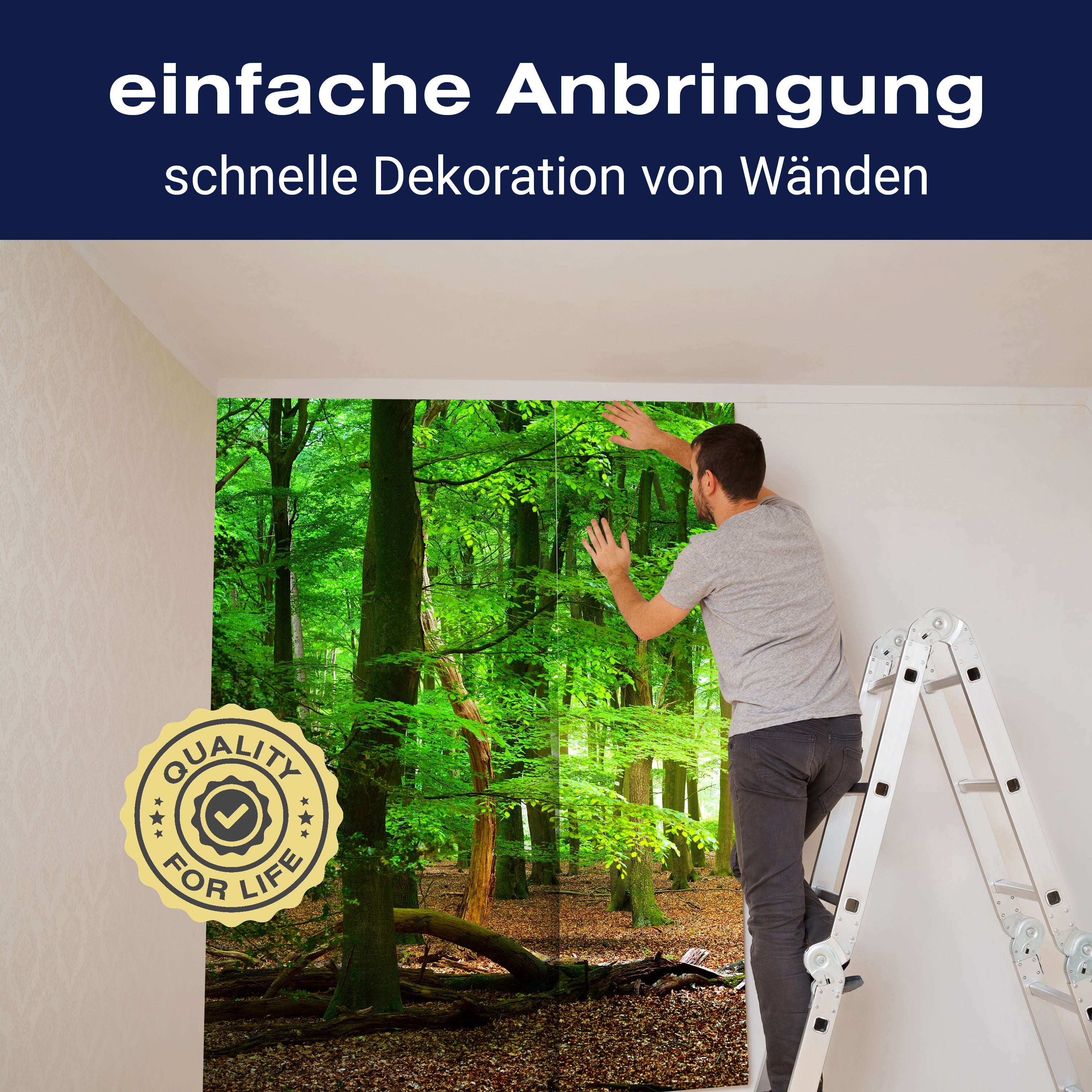 Fototapete Wald Sommer Natur M5667 - Bild 3 Fototapete Wald Sommer Natur M5667 - Bild 3