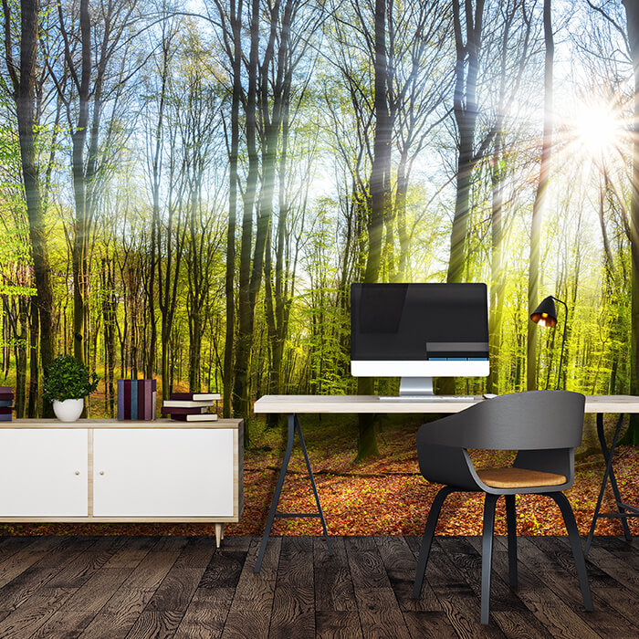 Fototapete Sonne Natur Bäume M5669 - Bild 1 Fototapete Sonne Natur Bäume M5669 - Bild 1