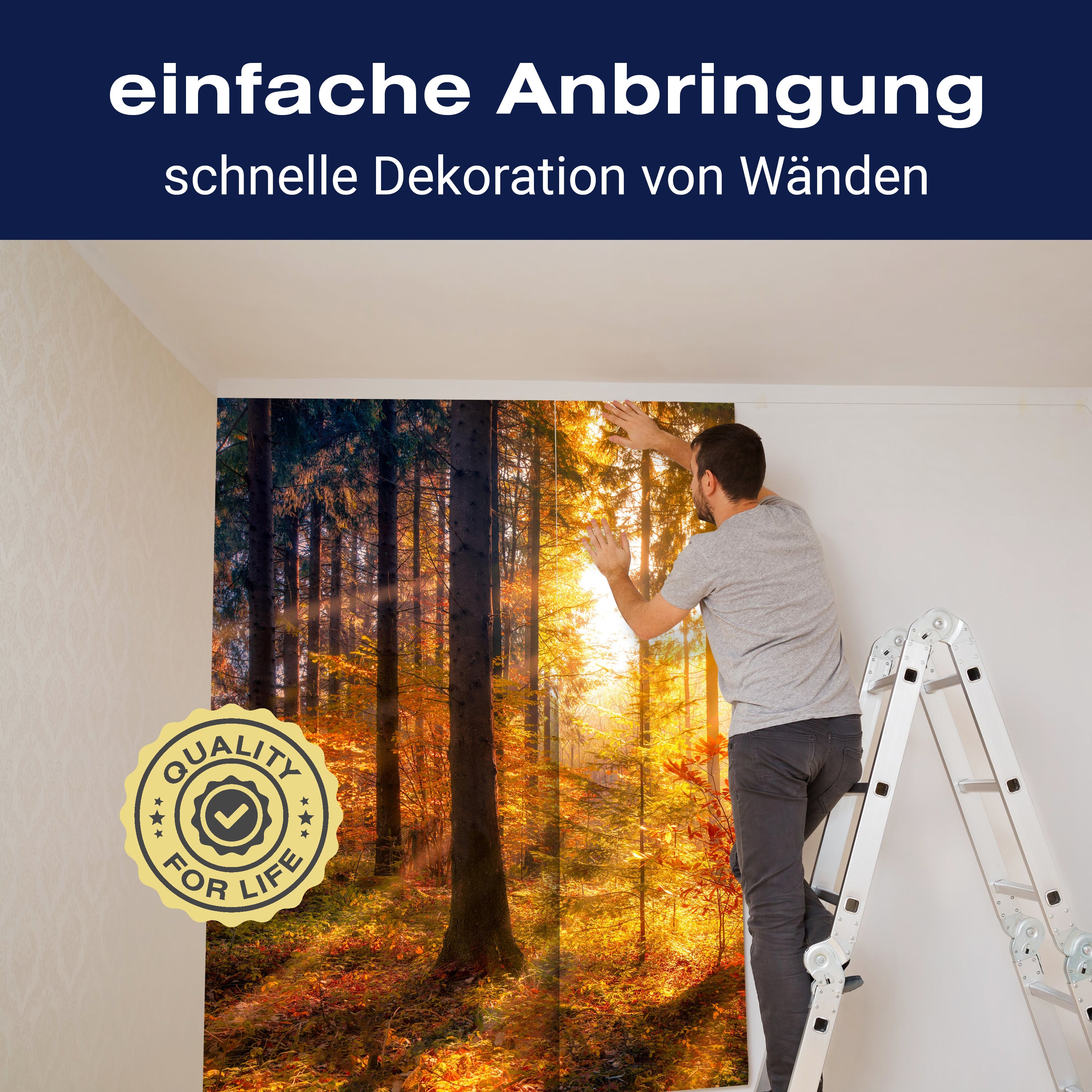Fototapete Sonne Herbst Bäume M5672 - Bild 3 Fototapete Sonne Herbst Bäume M5672 - Bild 3