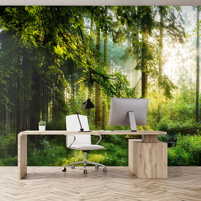 Fototapete Wald Wiese Bäume M5673 - Bild 1 Fototapete Wald Wiese Bäume M5673 - Bild 1