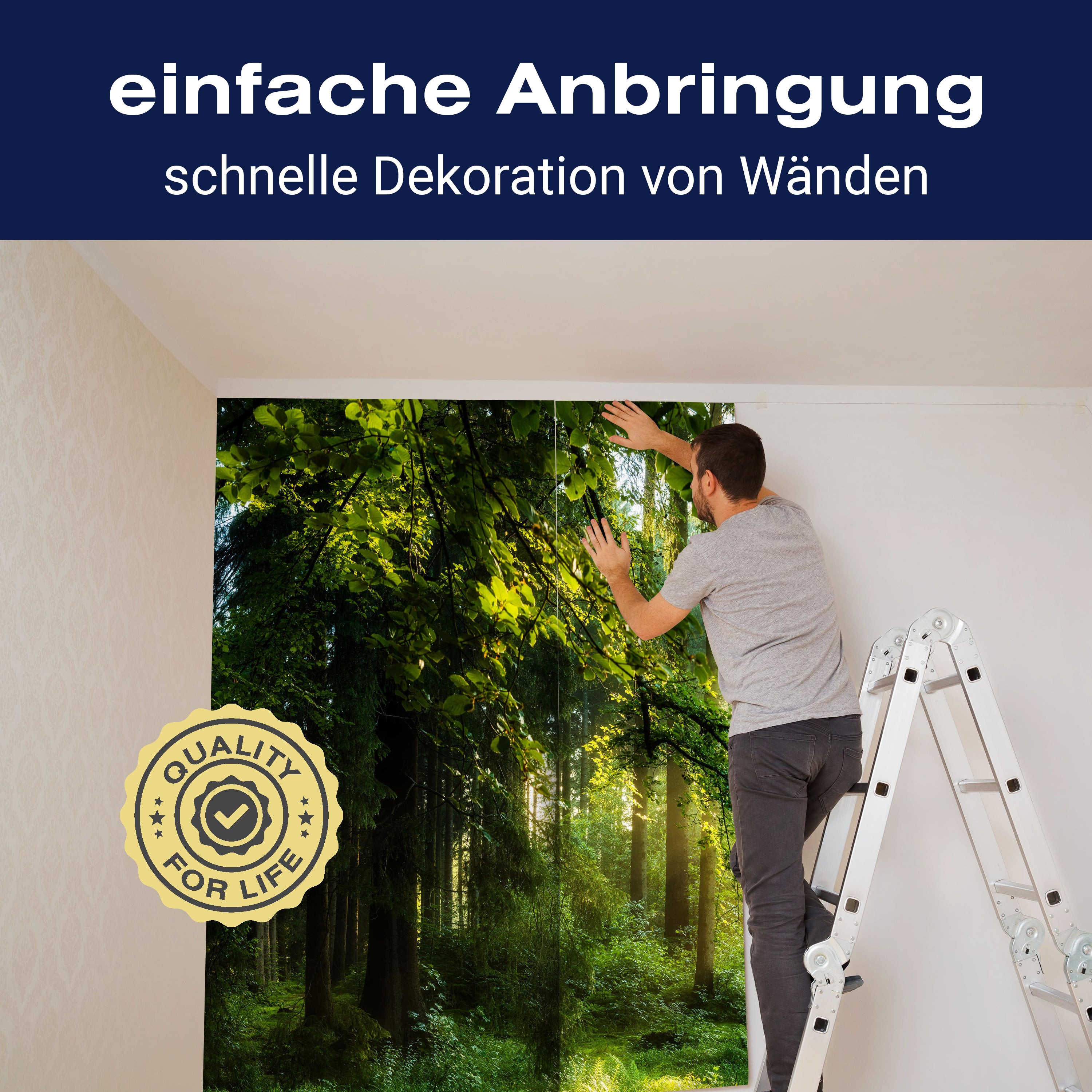 Fototapete Wald Wiese Bäume M5673 - Bild 3 Fototapete Wald Wiese Bäume M5673 - Bild 3