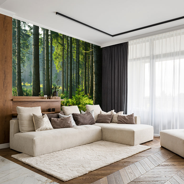 Fototapete Wald Stämme Wiese M5674 - Bild 1 Fototapete Wald Stämme Wiese M5674 - Bild 1