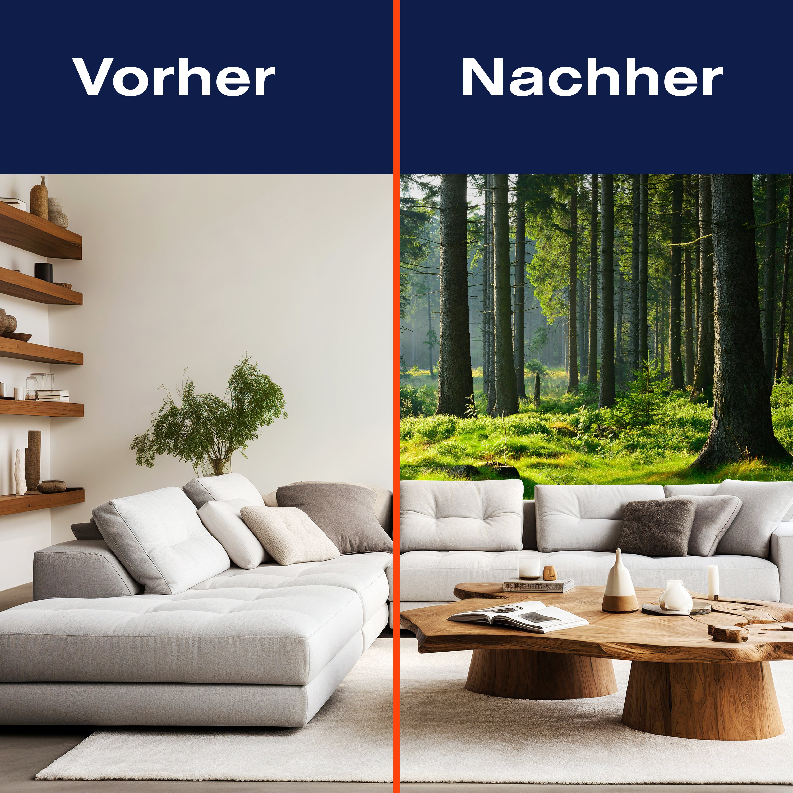 Fototapete Wald Stämme Wiese M5674 - Bild 9 Fototapete Wald Stämme Wiese M5674 - Bild 9