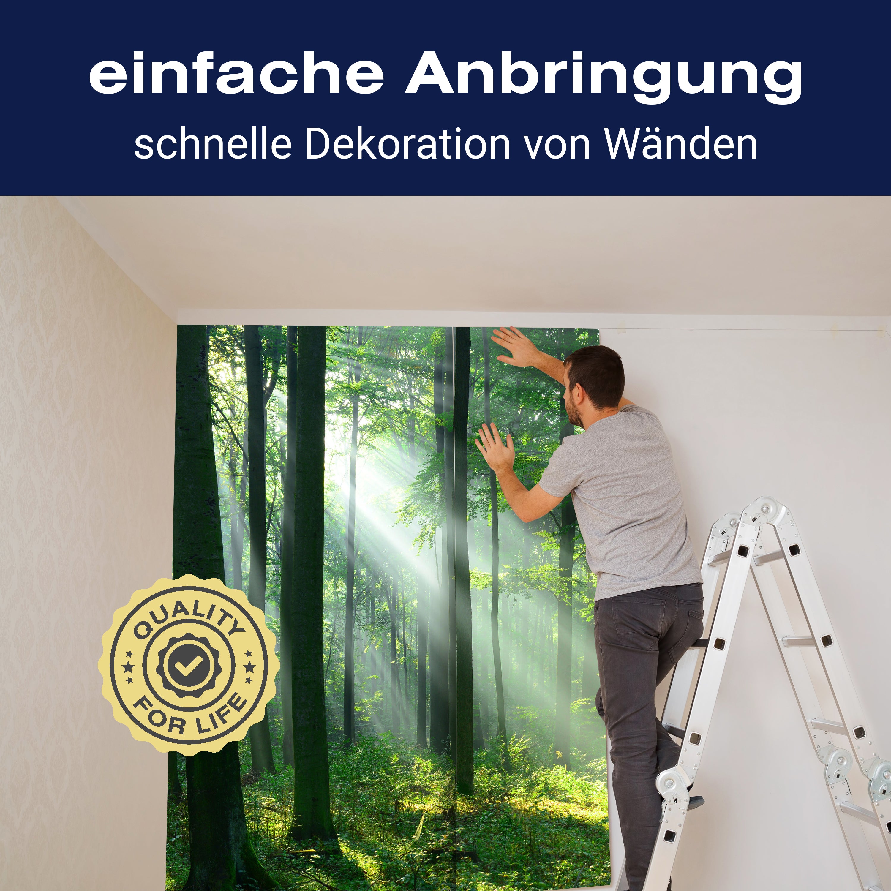 Fototapete Wald Sonnenstrahlen Nebel M5677 - Bild 3 Fototapete Wald Sonnenstrahlen Nebel M5677 - Bild 3