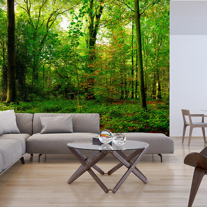 Fototapete Wald Bäume Blätter M5680 - Bild 1 Fototapete Wald Bäume Blätter M5680 - Bild 1