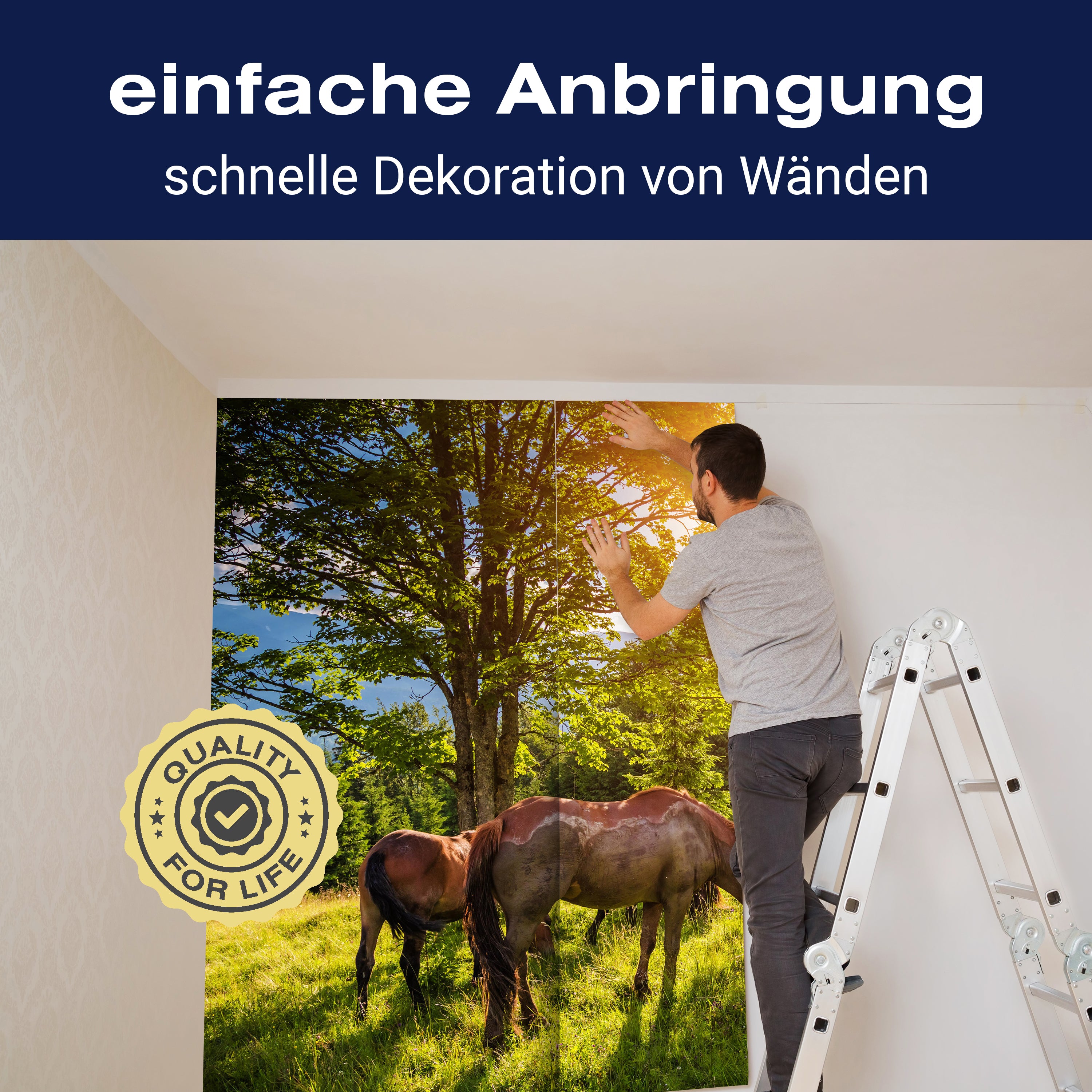 Fototapete Wiese mit Pferden M5727 - Bild 3 Fototapete Wiese mit Pferden M5727 - Bild 3