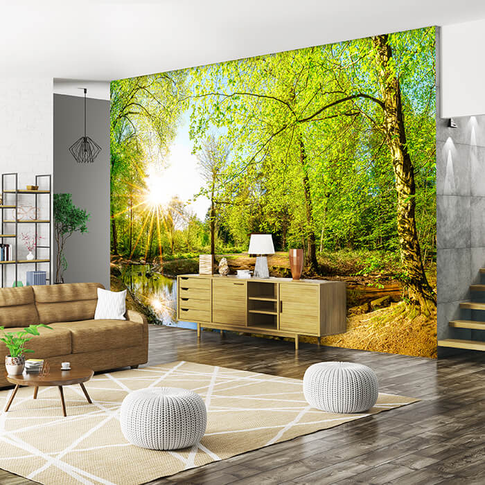 Fototapete Wald im Sommer mit Bach und Sonne M5751 - Bild 1 Fototapete Wald im Sommer mit Bach und Sonne M5751 - Bild 1