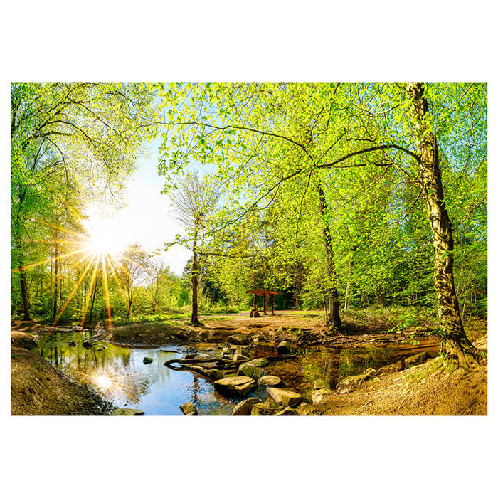 Fototapete Wald im Sommer mit Bach und Sonne M5751 - Bild 2 Fototapete Wald im Sommer mit Bach und Sonne M5751 - Bild 2