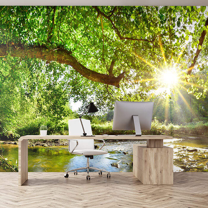 Fototapete Wald mit Fluss M5757 - Bild 1 Fototapete Wald mit Fluss M5757 - Bild 1