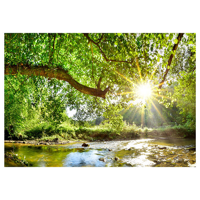 Fototapete Wald mit Fluss M5757 - Bild 2 Fototapete Wald mit Fluss M5757 - Bild 2