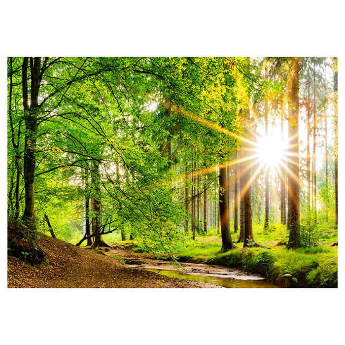 Fototapete Bach im Wald M5762 - Bild 2 Fototapete Bach im Wald M5762 - Bild 2