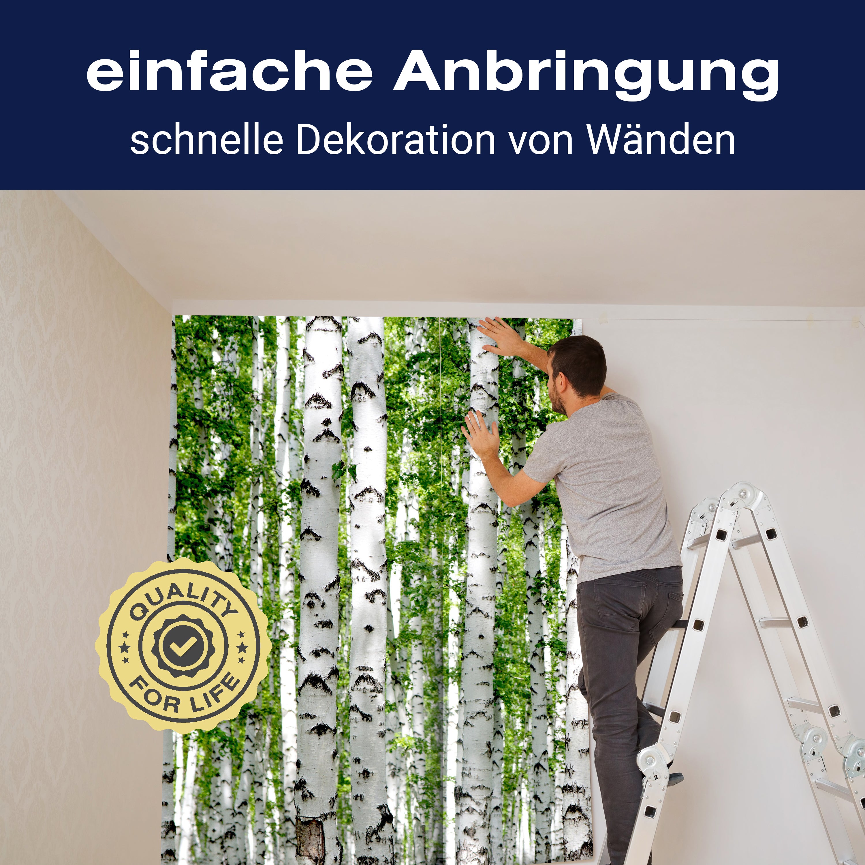 Fototapete Birkenwald Nahansicht Dicht M5835 - Bild 3 Fototapete Birkenwald Nahansicht Dicht M5835 - Bild 3