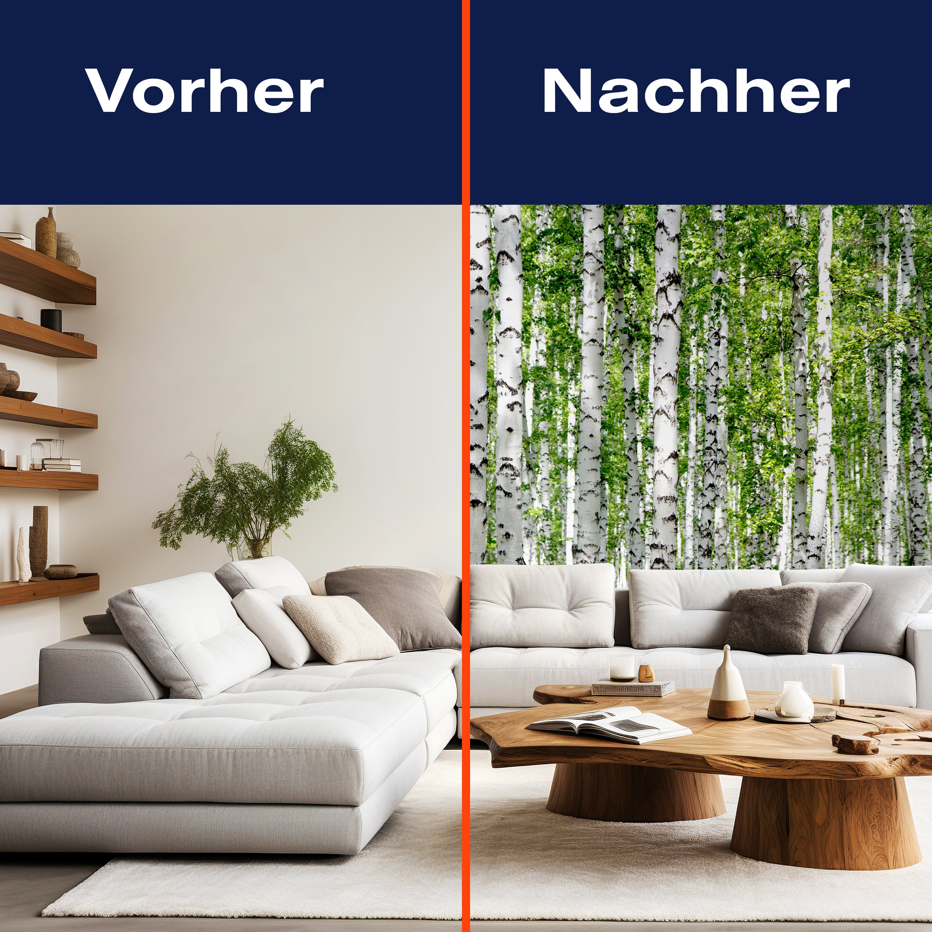 Fototapete Birkenwald Nahansicht Dicht M5835 - Bild 9 Fototapete Birkenwald Nahansicht Dicht M5835 - Bild 9