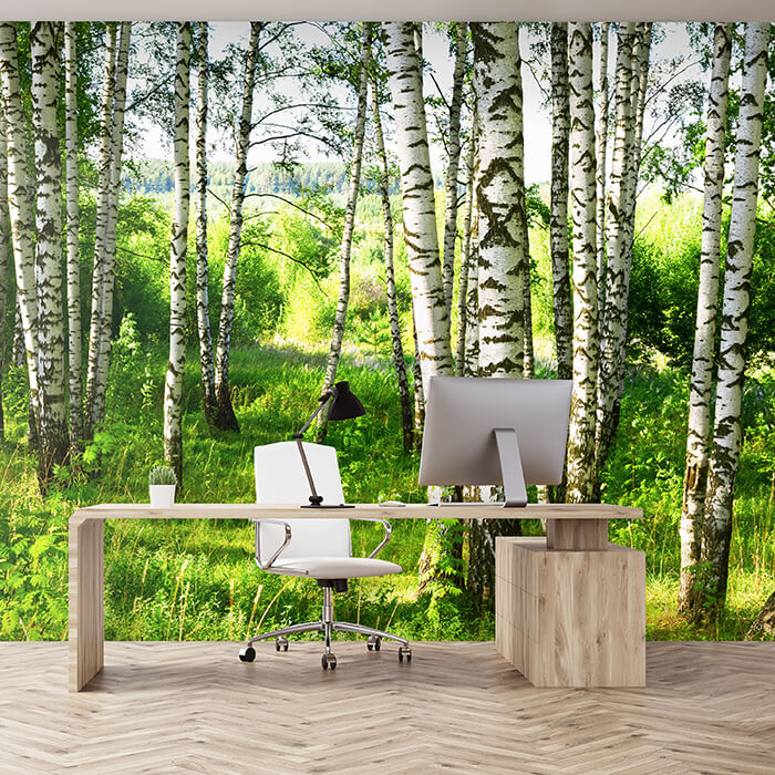 Fototapete Birkenwald Wiese Landschaft Sträuchern M5836 - Bild 1 Fototapete Birkenwald Wiese Landschaft Sträuchern M5836 - Bild 1