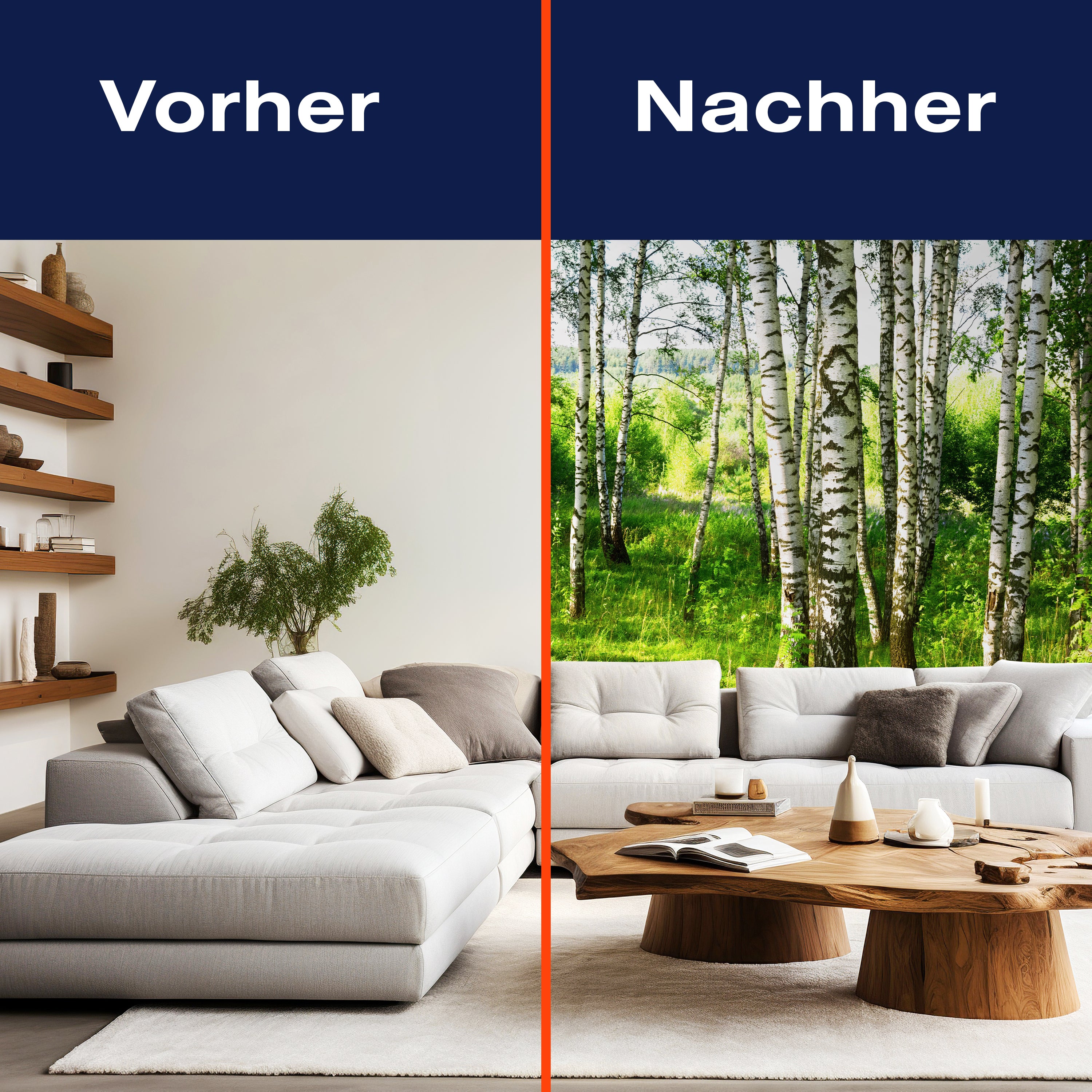 Fototapete Birkenwald Wiese Landschaft Sträuchern M5836 - Bild 9 Fototapete Birkenwald Wiese Landschaft Sträuchern M5836 - Bild 9