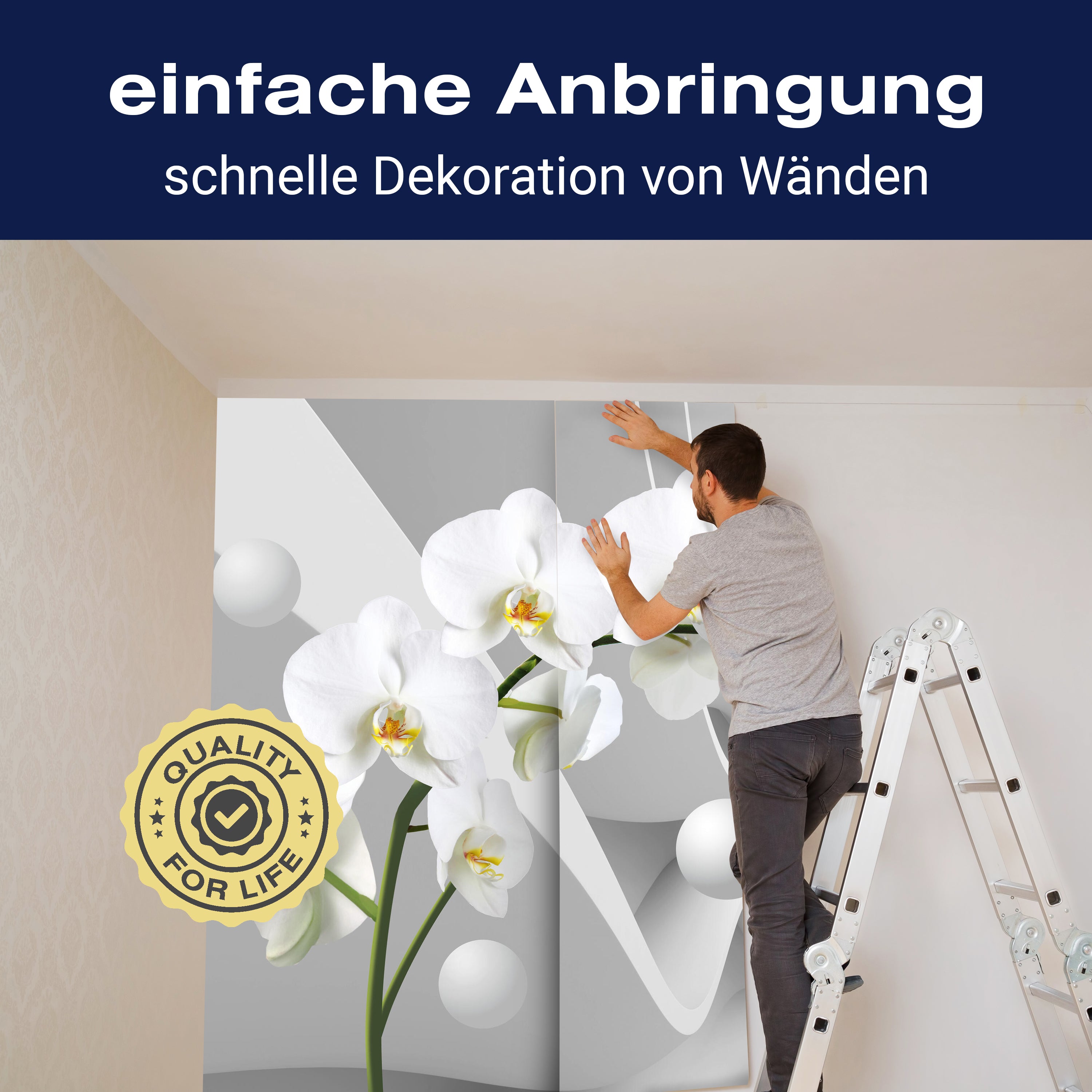 Fototapete 3D Effekt Blumen Orchideen Kugeln M6096 - Bild 3 Fototapete 3D Effekt Blumen Orchideen Kugeln M6096 - Bild 3