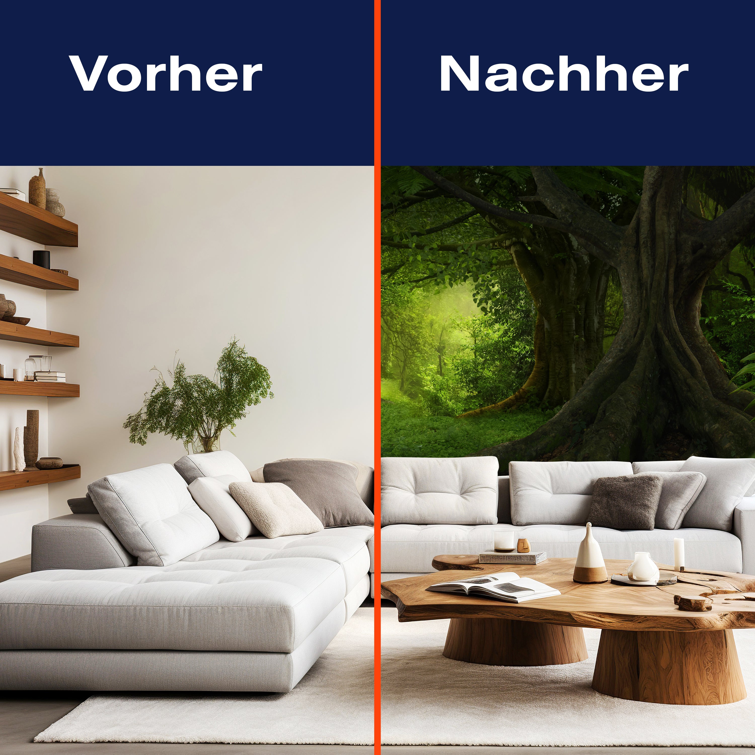 Fototapete Wald Lichtung Bäume M6183 - Bild 9 Fototapete Wald Lichtung Bäume M6183 - Bild 9