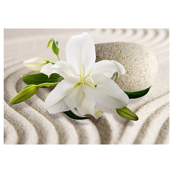 Fototapete weiße Lilie Blüte M6282 - Bild 2 Fototapete weiße Lilie Blüte M6282 - Bild 2