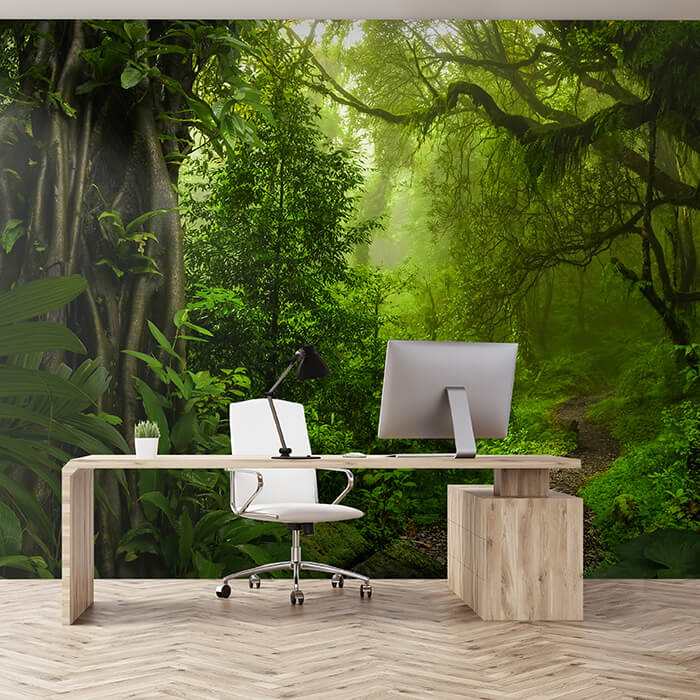 Fototapete Dschungelpfad Wald Weg M6479 - Bild 1 Fototapete Dschungelpfad Wald Weg M6479 - Bild 1