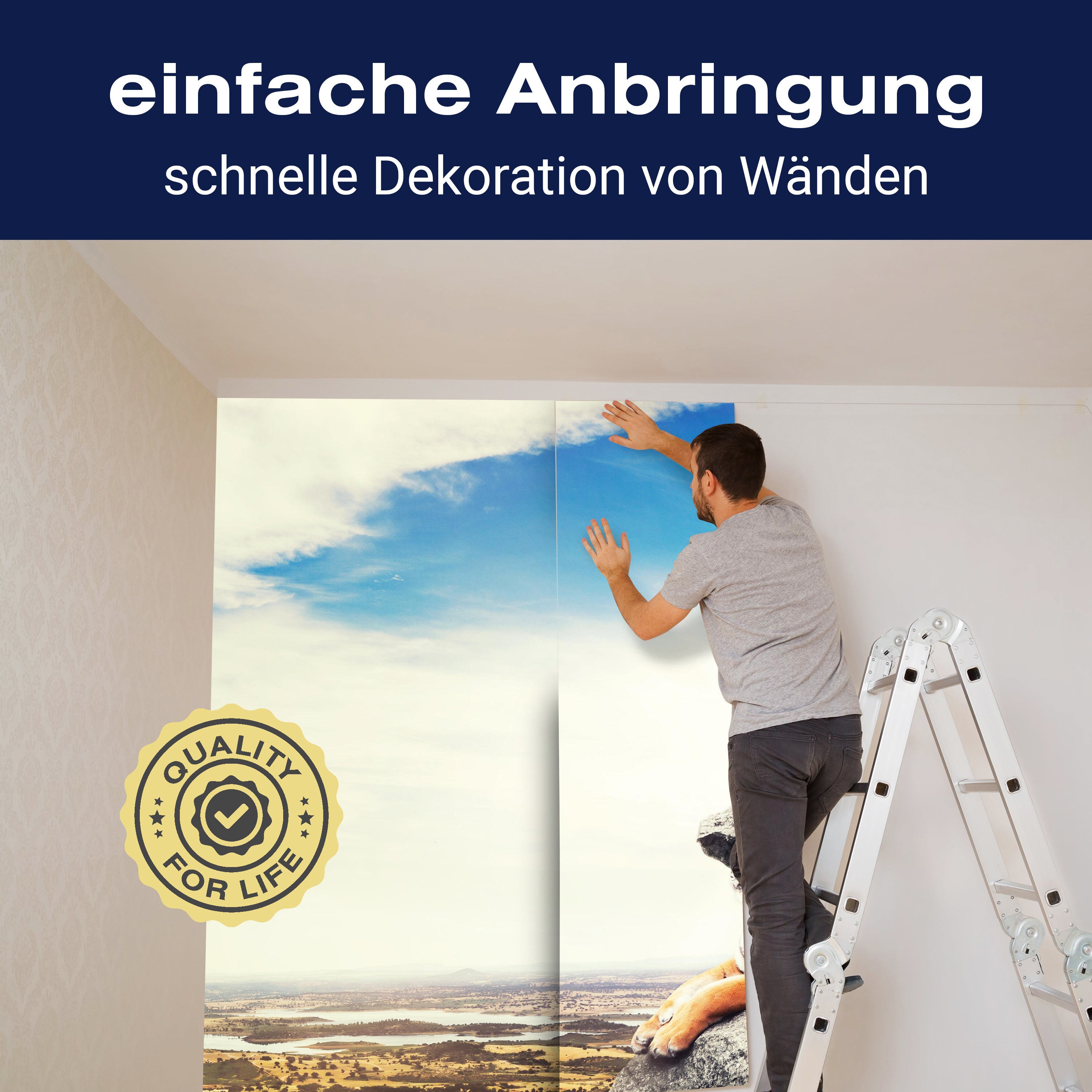 Fototapete liegende Tiger Savanne M6536 - Bild 3 Fototapete liegende Tiger Savanne M6536 - Bild 3