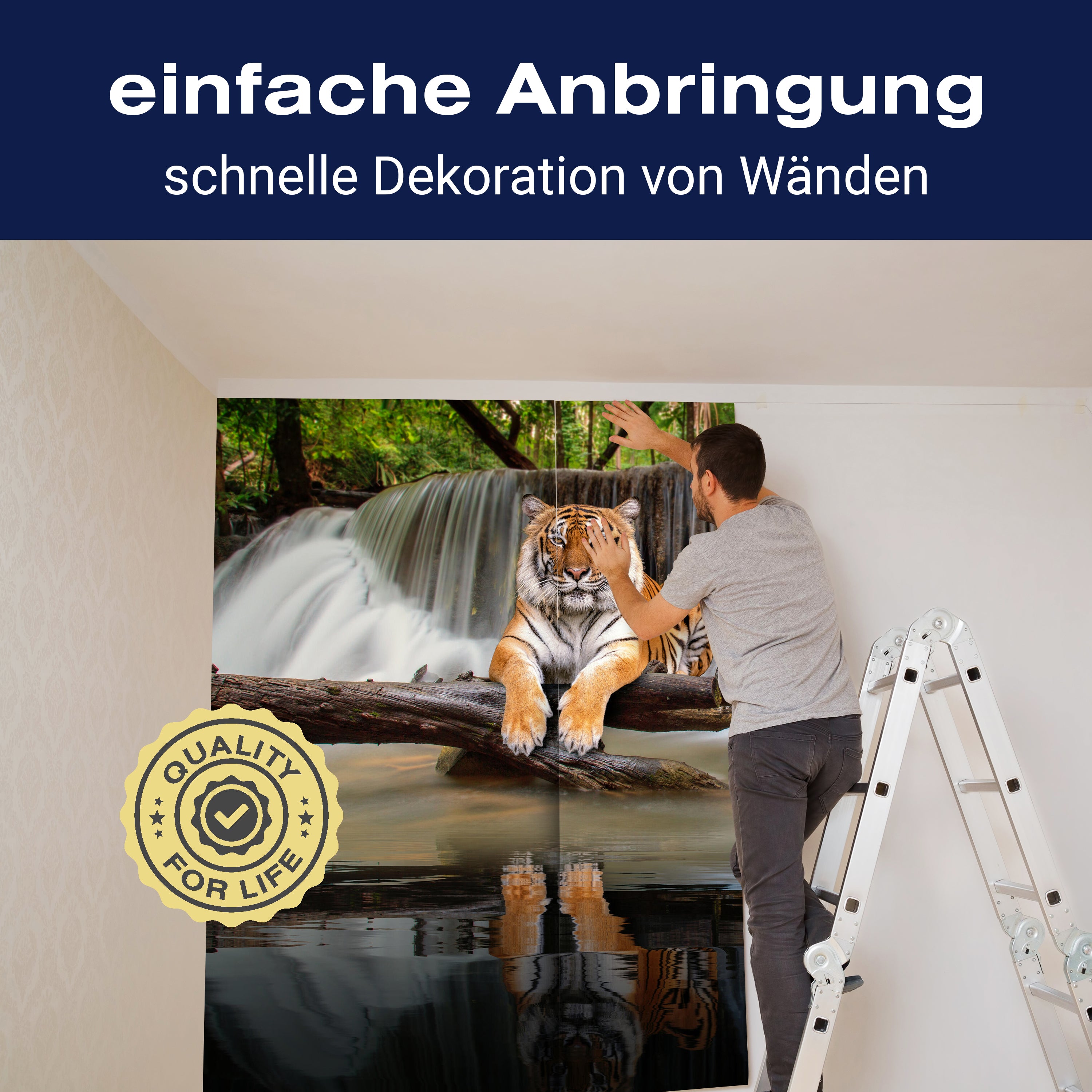 Fototapete liegender Tiger Wasserfall M6544 - Bild 3 Fototapete liegender Tiger Wasserfall M6544 - Bild 3