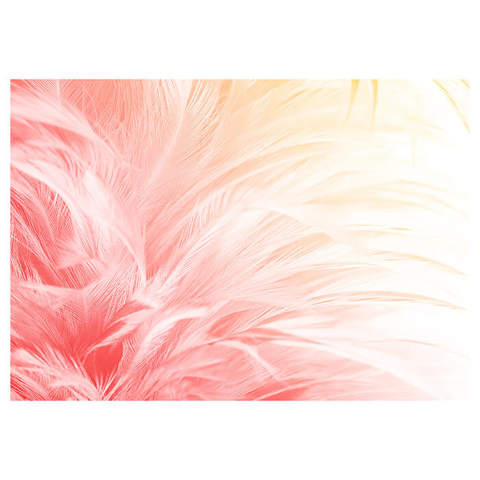 Fototapete Feder rosa gelb M6630 - Bild 2 Fototapete Feder rosa gelb M6630 - Bild 2