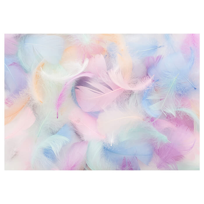 Fototapete Federn pastell rosa blau M6632 - Bild 2 Fototapete Federn pastell rosa blau M6632 - Bild 2