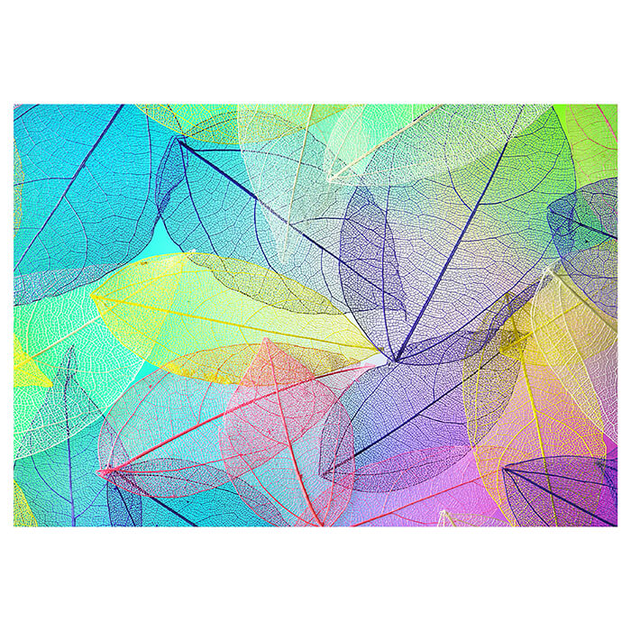 Fototapete transparente Blätter bunt M6702 - Bild 2 Fototapete transparente Blätter bunt M6702 - Bild 2