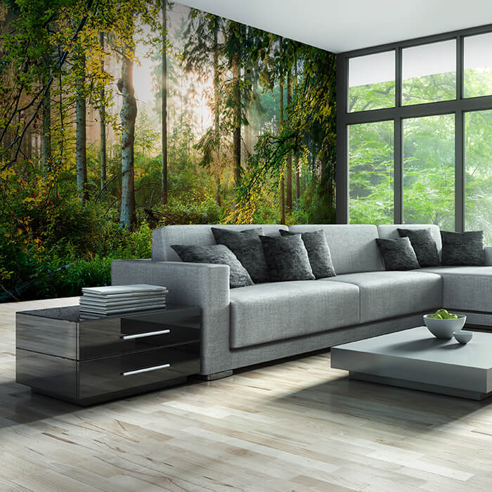 Fototapete Wald Bäume Sonne M6743 - Bild 1 Fototapete Wald Bäume Sonne M6743 - Bild 1