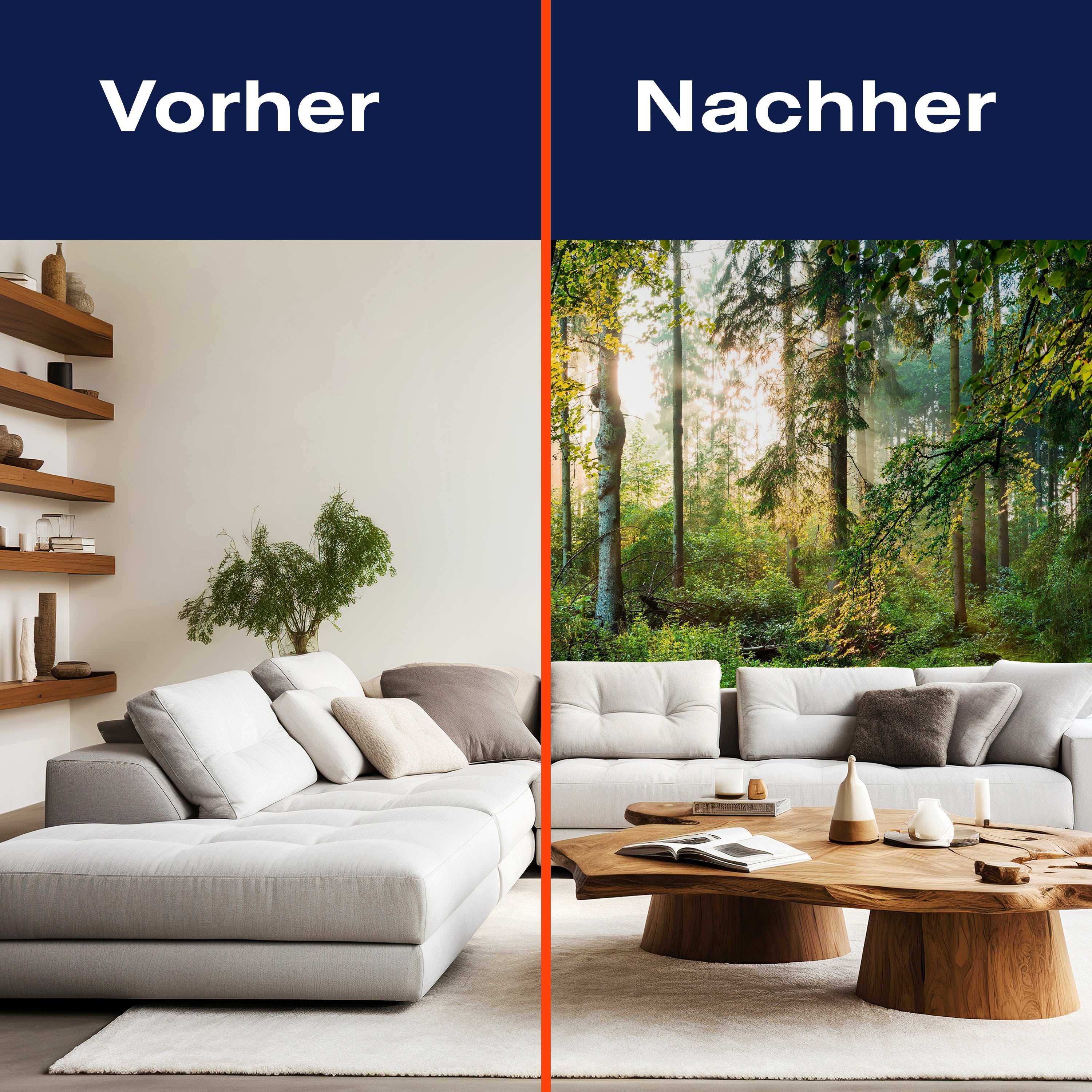 Fototapete Wald Bäume Sonne M6743 - Bild 9 Fototapete Wald Bäume Sonne M6743 - Bild 9