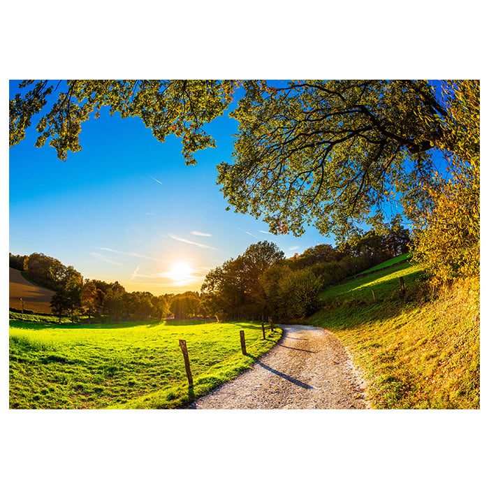 Fototapete Weg Feld Wiese M6747 - Bild 2 Fototapete Weg Feld Wiese M6747 - Bild 2