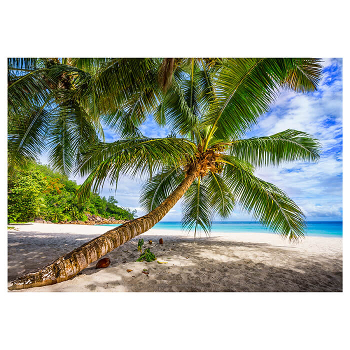 Fototapete Strand Meer Palmen M6857 - Bild 2 Fototapete Strand Meer Palmen M6857 - Bild 2