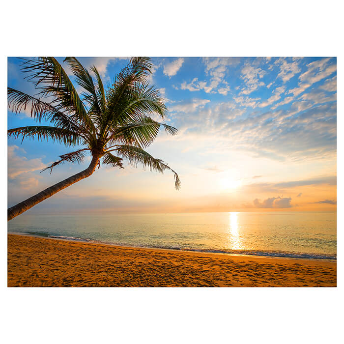 Fototapete Strand Meer Palme Sand M6863 - Bild 2 Fototapete Strand Meer Palme Sand M6863 - Bild 2