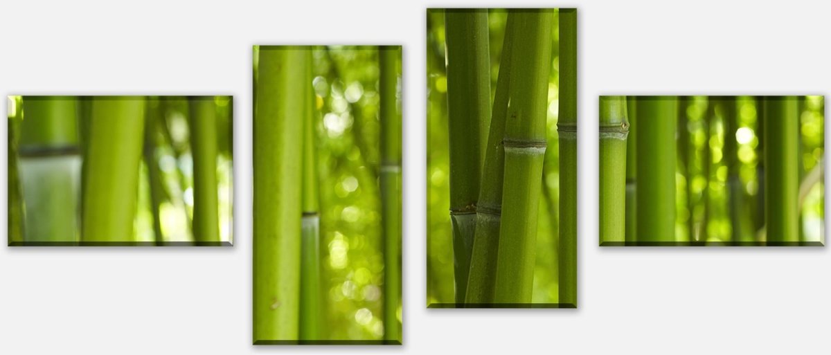 Leinwandbild Mehrteiler Bambus M0003 Leinwandbild Mehrteiler Bambus M0003