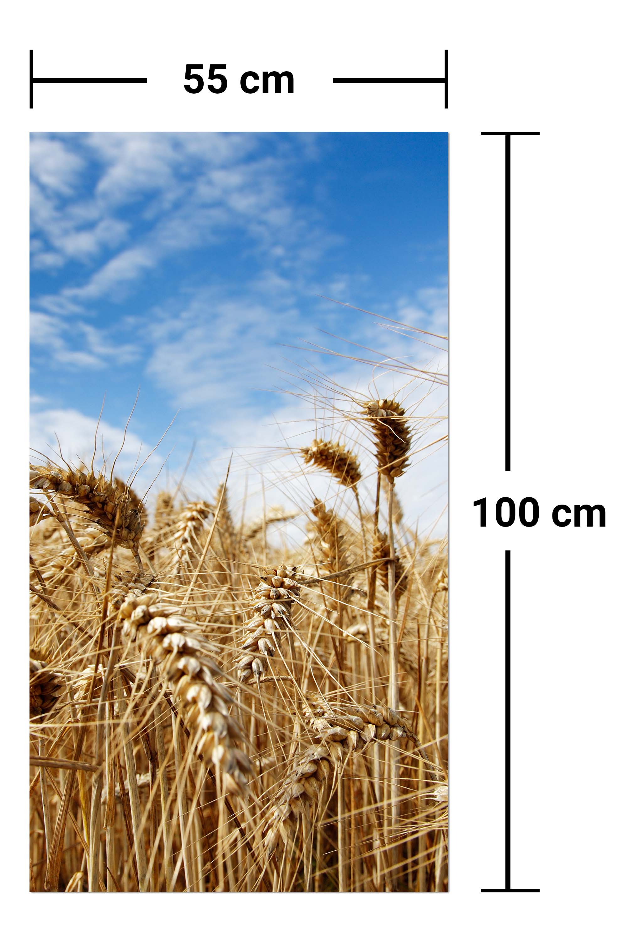 Garderobe Kornfeld M0009 entdecken - Bild 7 Garderobe Kornfeld M0009 entdecken - Bild 7