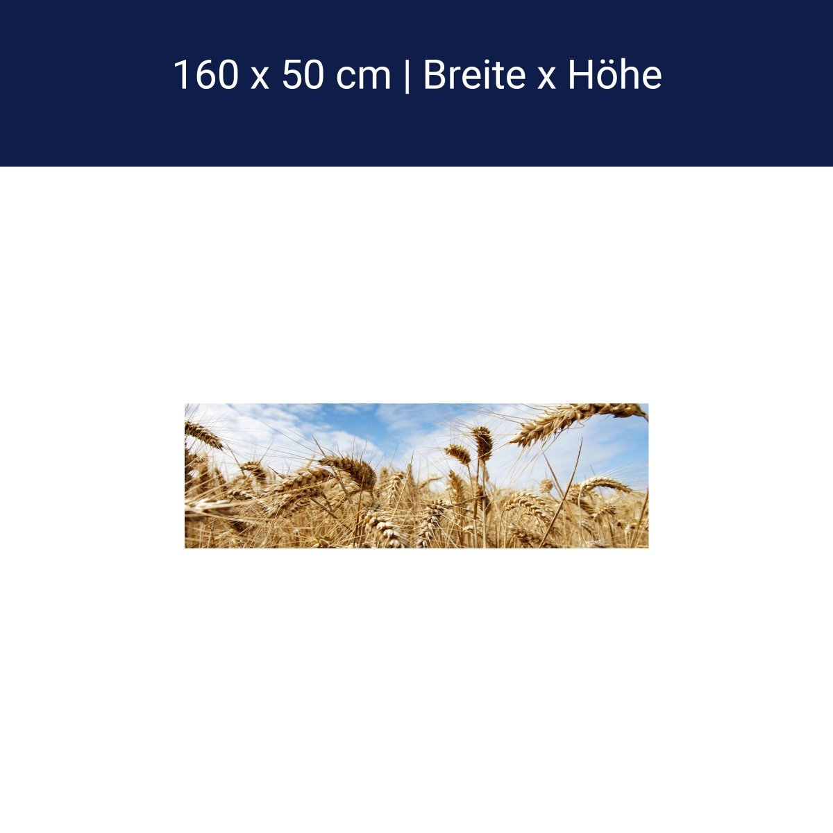 Küchenrückwand Kornfeld M0009 Küchenrückwand Kornfeld M0009