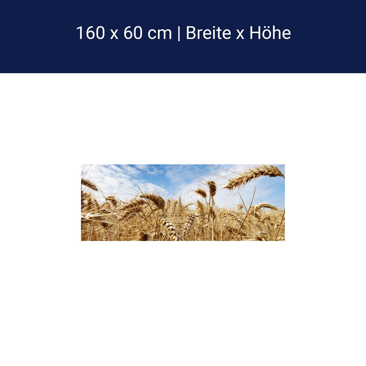 Küchenrückwand Kornfeld M0009 Küchenrückwand Kornfeld M0009