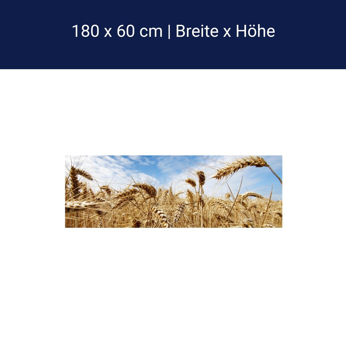 Küchenrückwand Kornfeld M0009 Küchenrückwand Kornfeld M0009