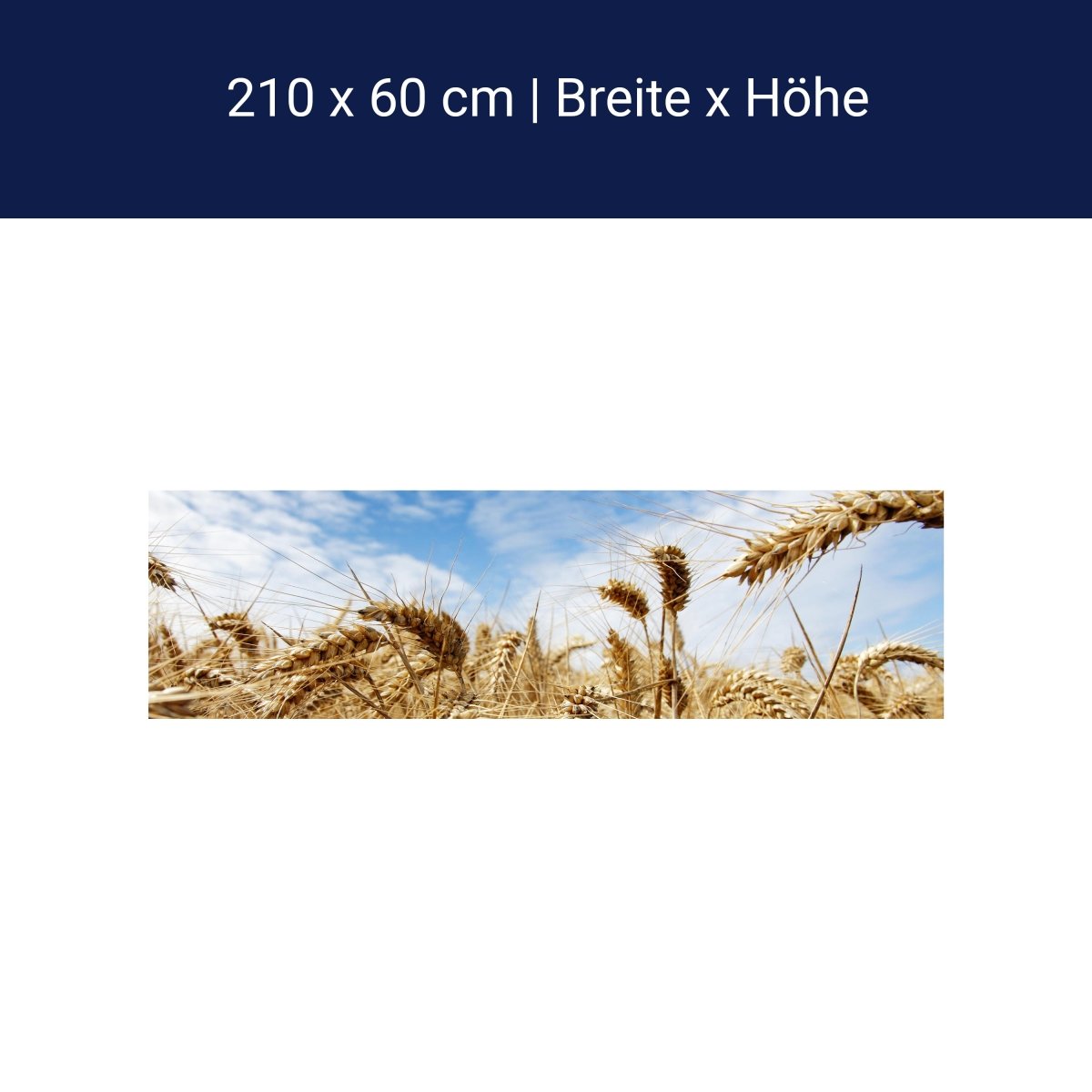 Küchenrückwand Kornfeld M0009 Küchenrückwand Kornfeld M0009