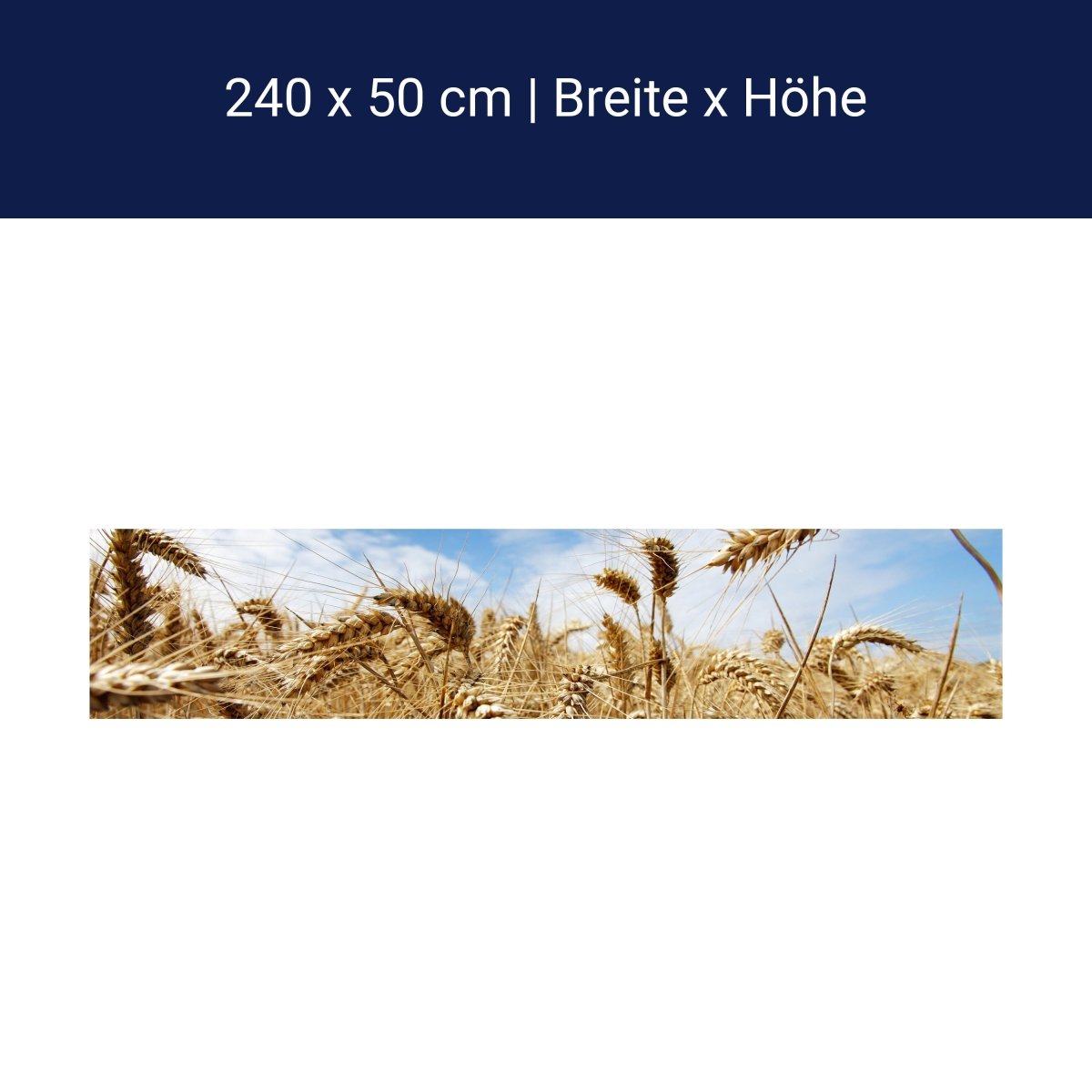 Küchenrückwand Kornfeld M0009 Küchenrückwand Kornfeld M0009