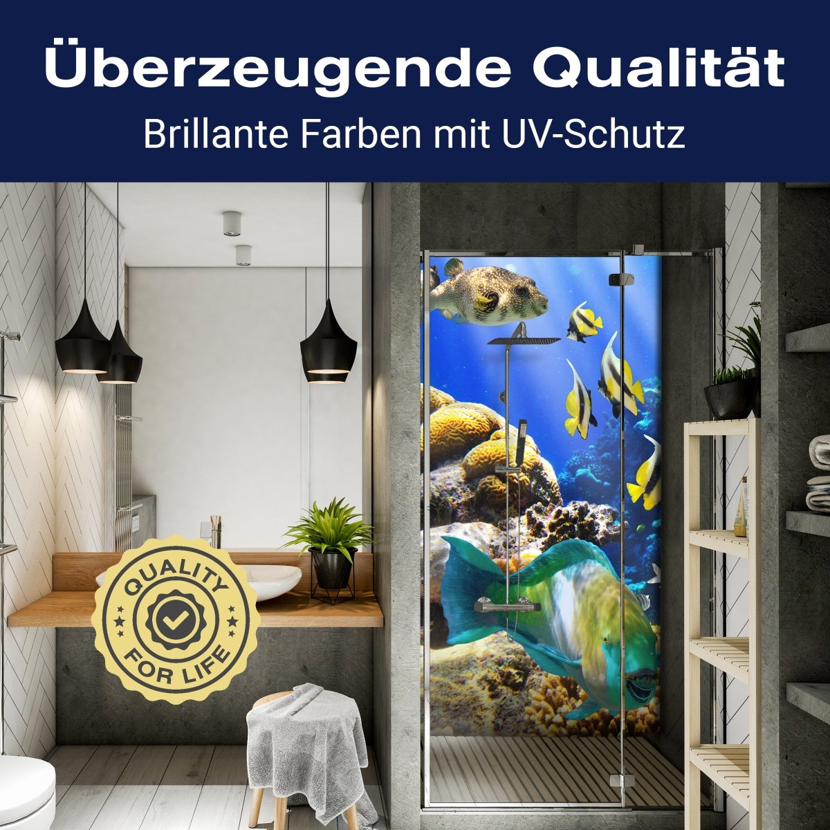 Duschwand Unterwasser M0011 entdecken - Bild 2 Duschwand Unterwasser M0011 entdecken - Bild 2