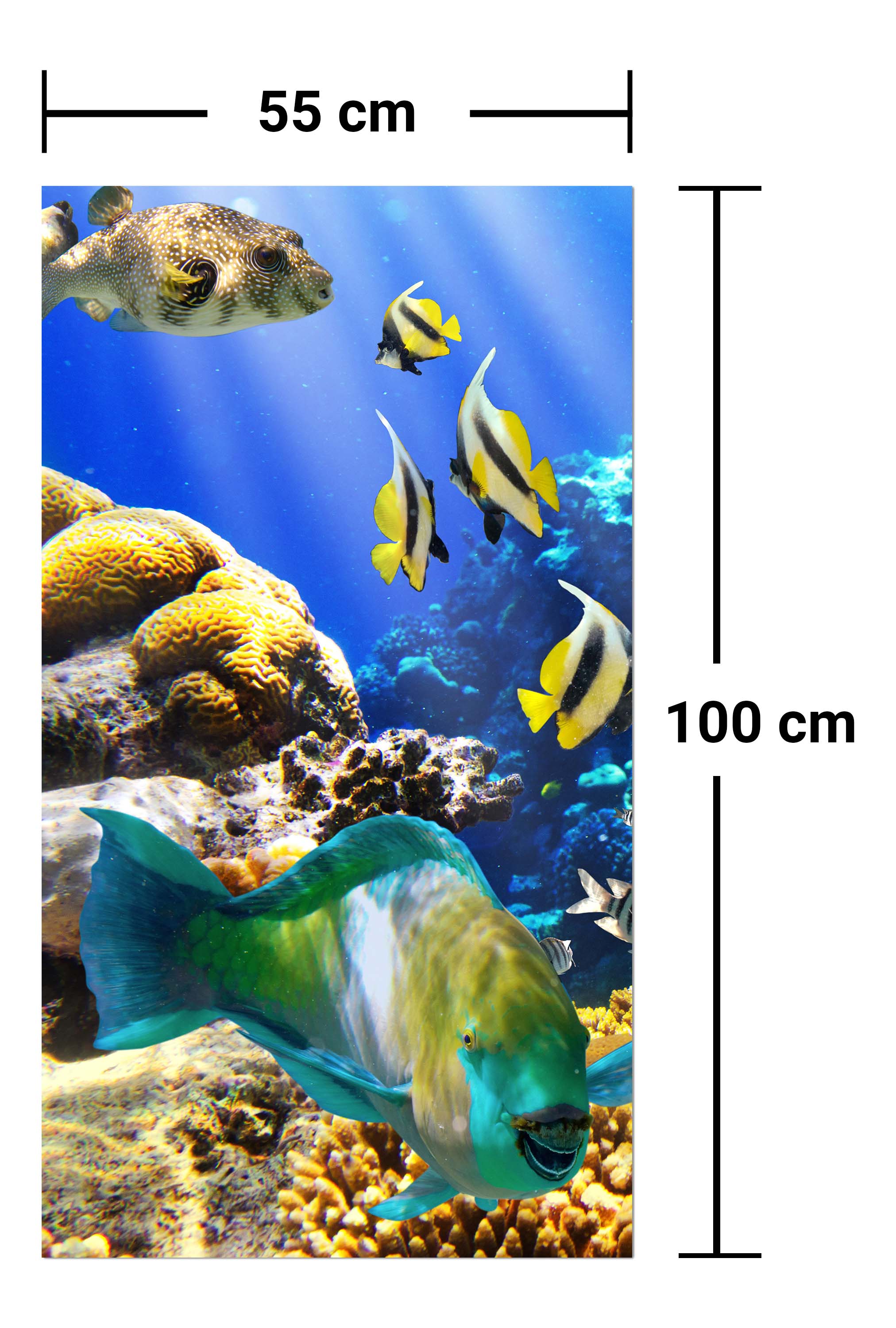Garderobe Unterwasser M0011 entdecken - Bild 7 Garderobe Unterwasser M0011 entdecken - Bild 7