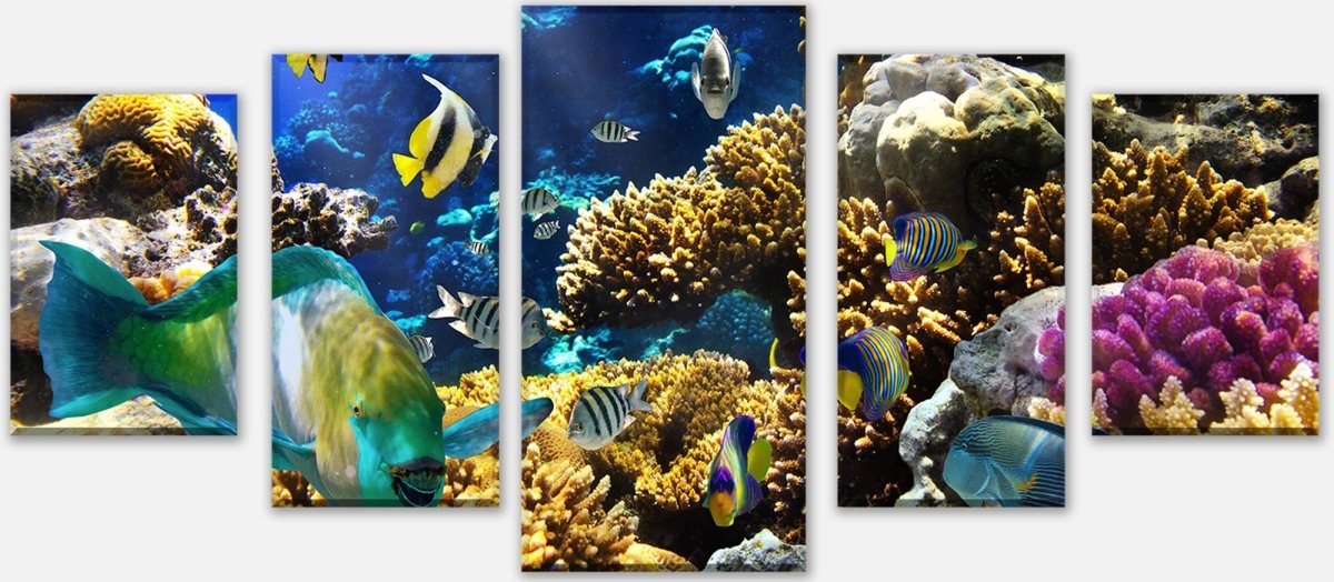 Leinwandbild Mehrteiler Unterwasser M0011 entdecken - Bild 1 Leinwandbild Mehrteiler Unterwasser M0011 entdecken - Bild 1
