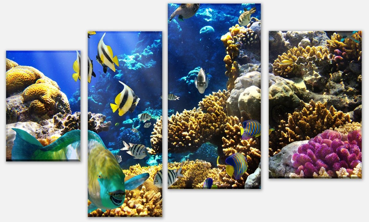 Leinwandbild Mehrteiler Unterwasser M0011 Leinwandbild Mehrteiler Unterwasser M0011