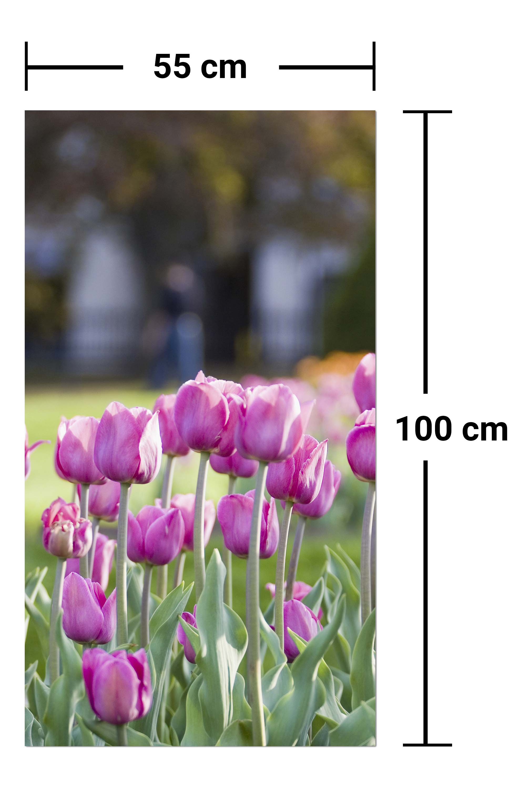 Garderobe Pinke Tulpen M0016 entdecken - Bild 7 Garderobe Pinke Tulpen M0016 entdecken - Bild 7
