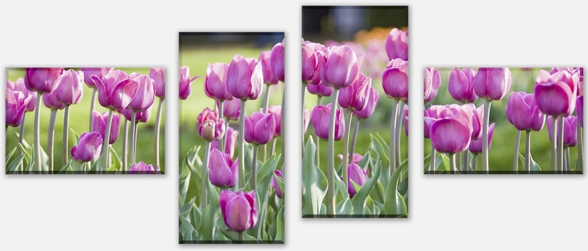 Leinwandbild Mehrteiler Pinke Tulpen M0016 Leinwandbild Mehrteiler Pinke Tulpen M0016